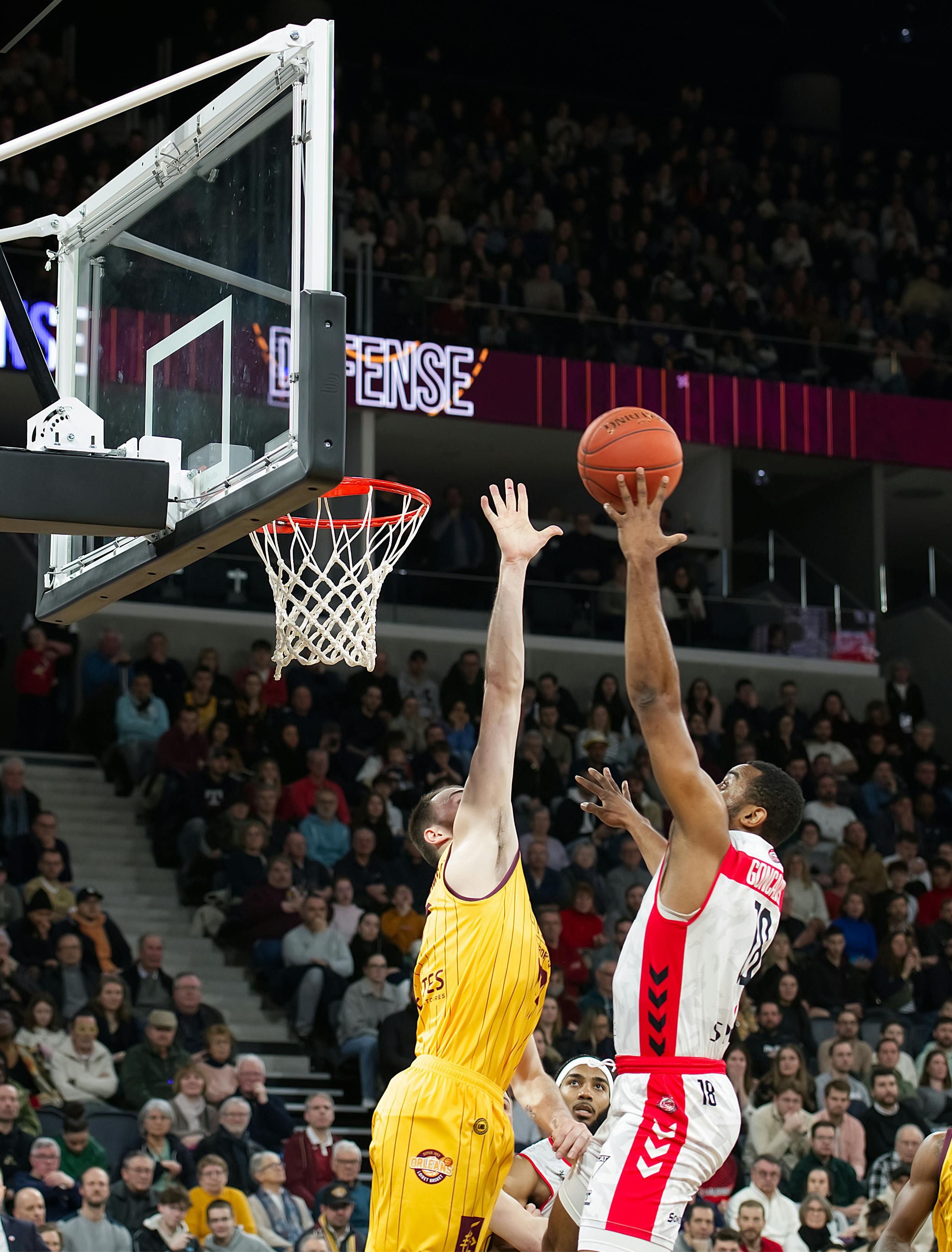 Parier sur la NBA et l'Euroleague